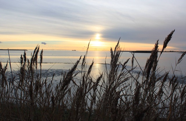 Chalet DORIS Zeeland 1800m to the beach, fenced in completely