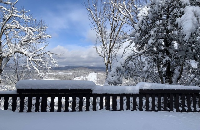 Chalet nestled right in Windham Mountain's quiet beauty-private access to trails