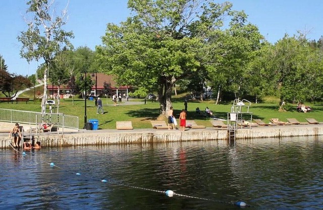 Chalet Style Apartments - Chalet Style Apartments #12 - Group bookings available