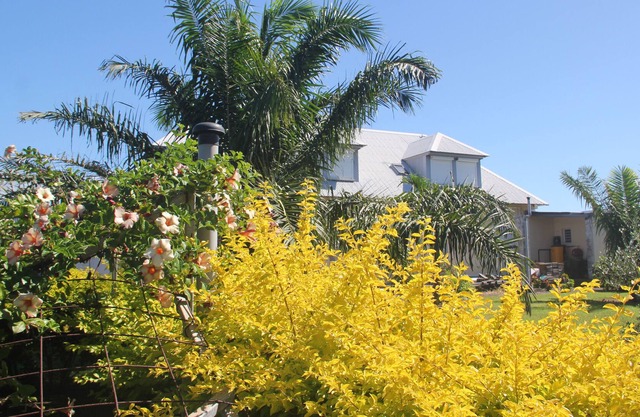 Chambre D'hôtes Domaine des Oiseaux