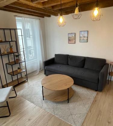 Charmant appartement Orléans !