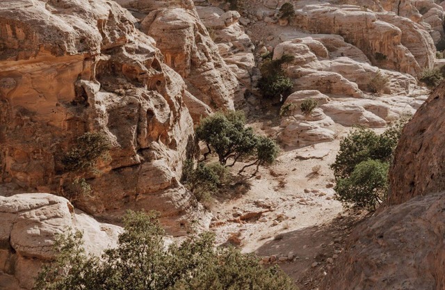 Charming 1-bedroom farmhouse in Al-Baydha with AC, WiFi