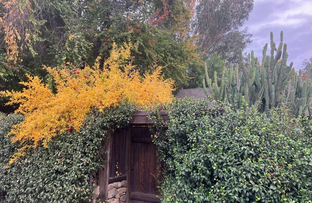 Charming 2-bedroom house steps from downtown Ojai.