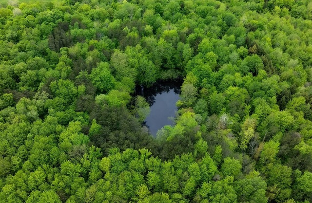 Charming 2-bedroom VIP cottage in Pulaski 1.9 m away from famous salmon river