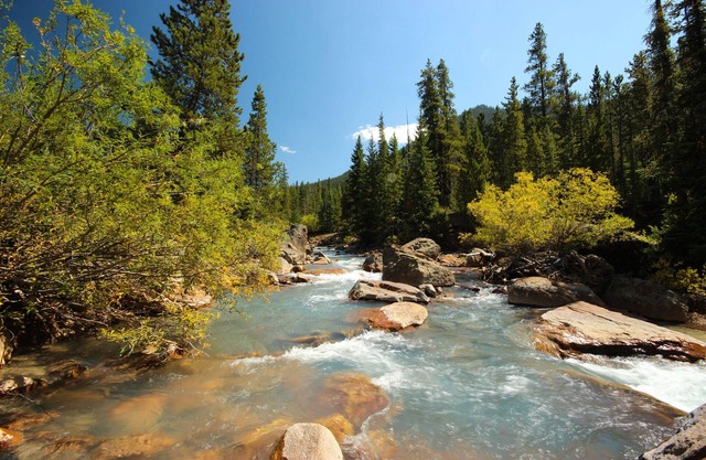 Charming 2Bd Cabin, Ideal for your Winter Escape!