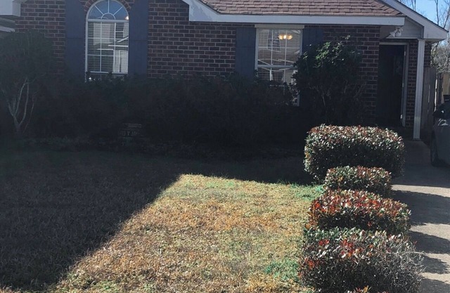 Charming 3-bedroom house in vibrant New Orleans area with WiFi and AC!