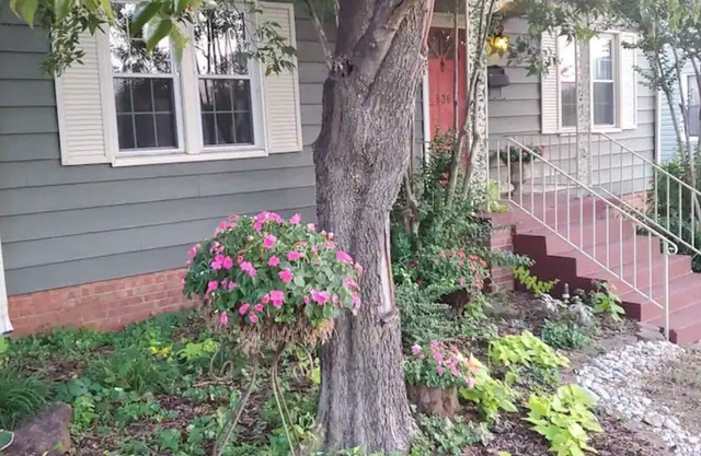 Charming, bohemian-like cottage with a large, relaxing backyard