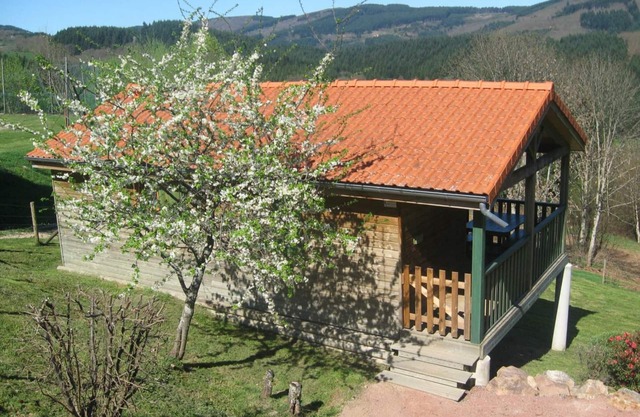 Charming chalet with terrace and pets allowed