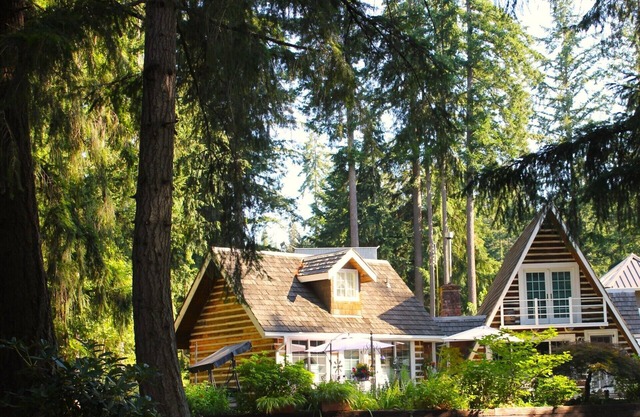 Charming chalet with 3 bedrooms and WiFi, AC in welcoming Sammamish