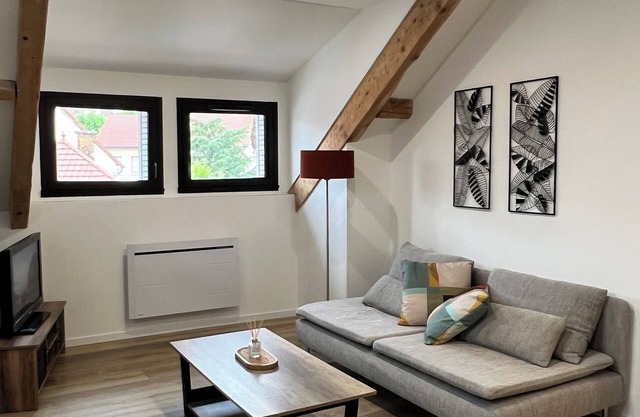 Charming downtown apartment