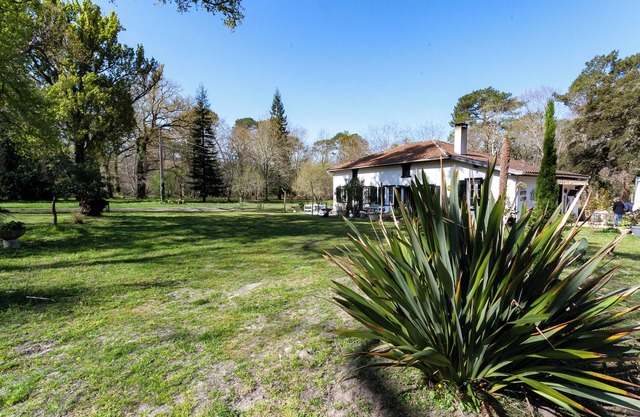 Charming gîte for 2 or 4 in the forest beside the lake, 8km from the ocean