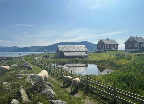 Charming House In An Old Barn By The Lighthouse