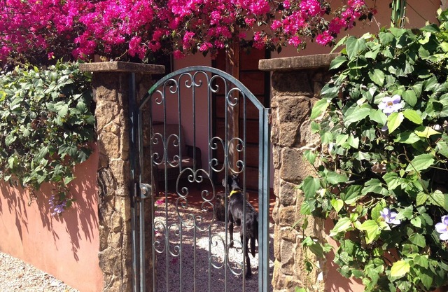 Charming I bedroom with kitchen apartment 2 blocks from the beach.