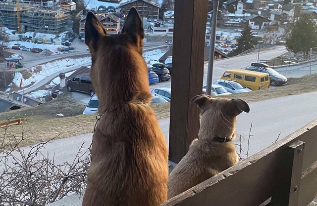 Charming renovated apartment with south-facing terrace