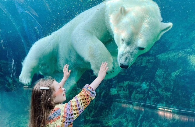 Charming St. Boniface home by Hospital & The Forks