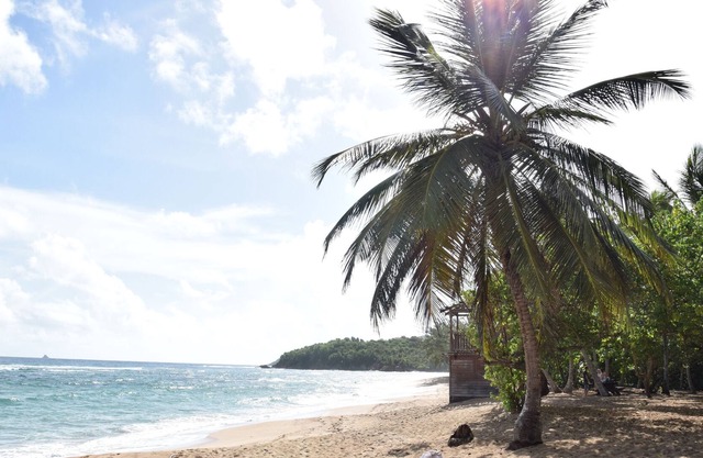 Charming T2 200m from the beach