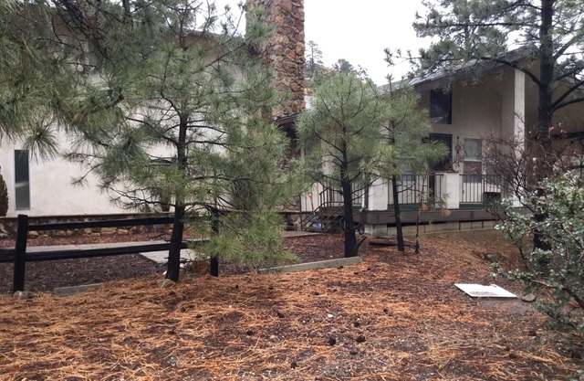 Charming two bedroom cabin located in the Hualapai mountains sleeps 8