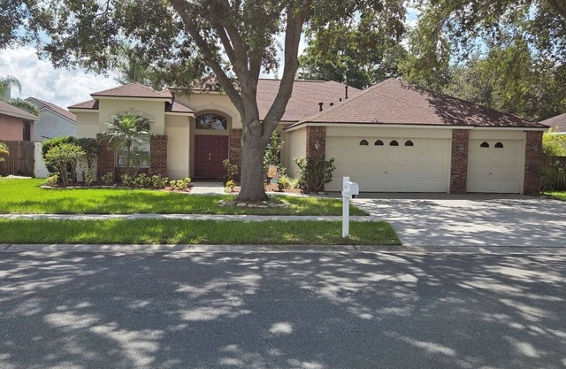 Charming Wheel-Chair Accessible 3-bedroom Pool home in lovely Valrico