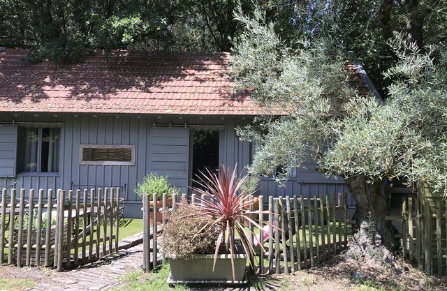 Charming wooden house* typical of the Basin in the heart of the forest with bicycles
