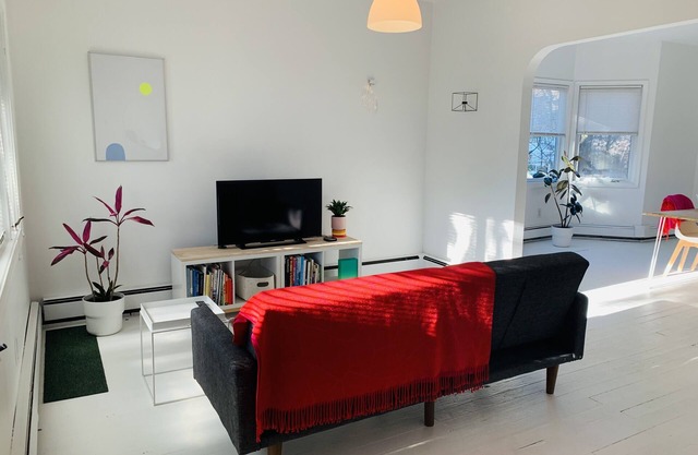 Cheery Black House Filled with Light Close to Downtown