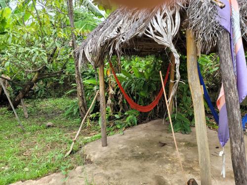 Chez lima tortuga guesthouse