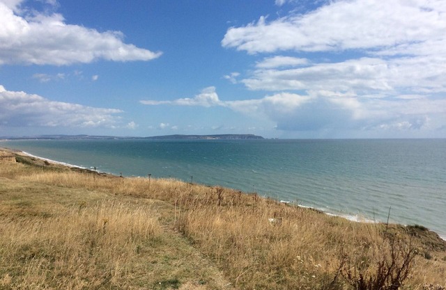 Cliff Top Studio, delightful self contained apartment, 50m from the Cliff Top.