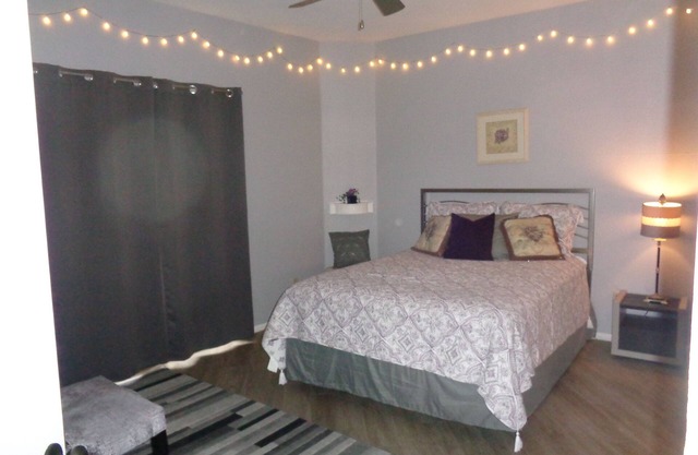 Close to Popular Biltmore Area, Pet Friendly Boutique Community