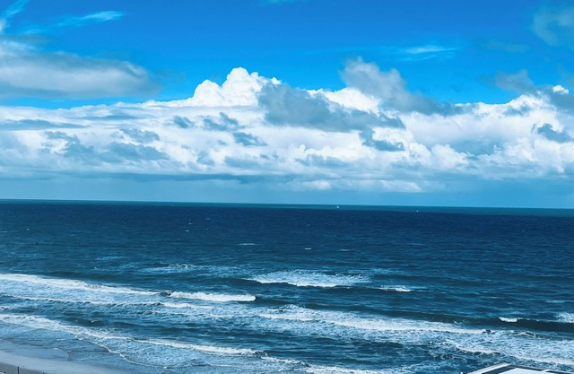 Coastal Waves Ocean View Studio condo