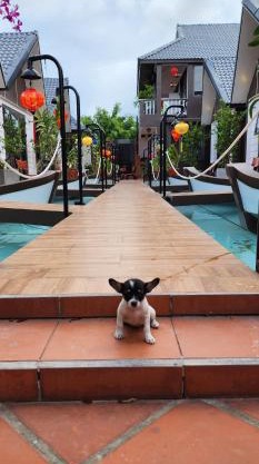 Coco Bungalows Hoi An