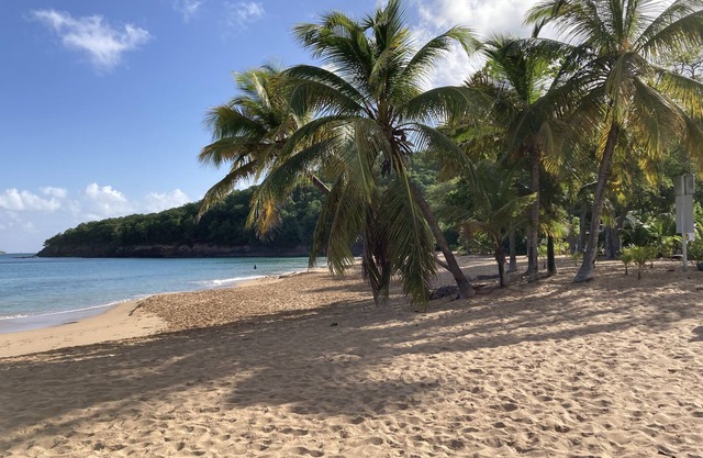 Coco-Mango Apt. D, sea view, 250 m from La Perle beach