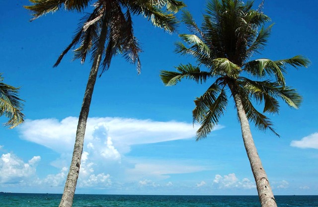 Coco Palm Beach Resort & Spa