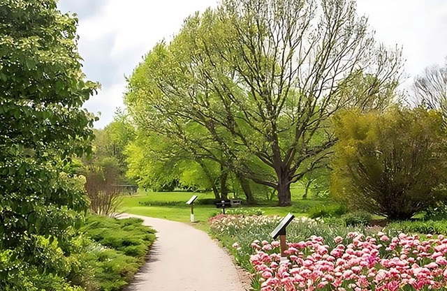 Comfort Meets Affordability, Free Breakfast, Free Parking, Onsite Pool