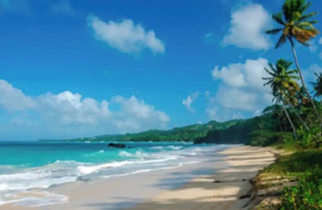 Comfortable 2-Bedroom Apartment Near The Beach