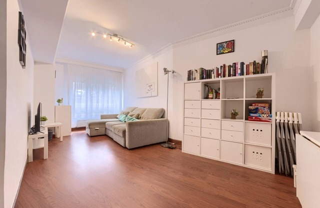 Comfortable and Functional Arregui Apartment