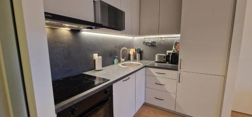 Comfortable Apartment Gerbera Tallinn