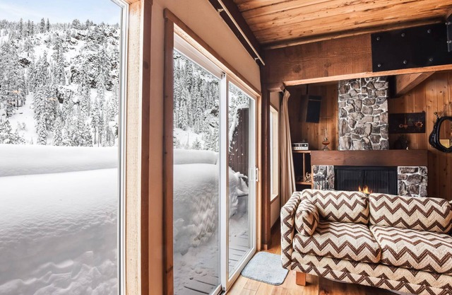 Comfy Alpine Meadows | Endless fun