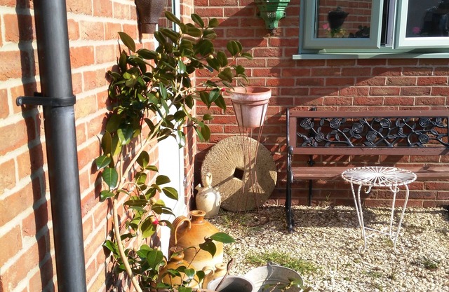 Contemporary Garden Cottage