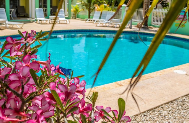 Coral Paradise Resort