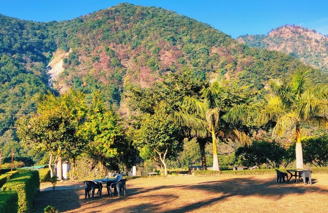 Corbett Hunters (Previously known as Taarini Corbett)