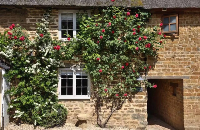 Cosy 1BD Cottage Retreat in Oxfordshire