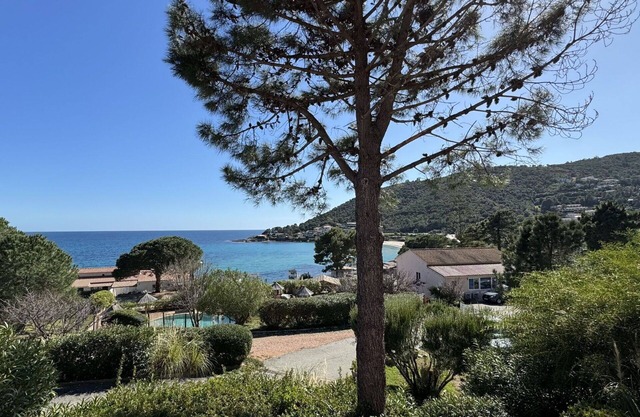 Cosy apartment for 4 guests with A/C, pool, WIFI, terrace and pets allowed