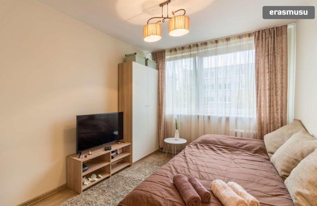 Cosy Apartment near the City Centre