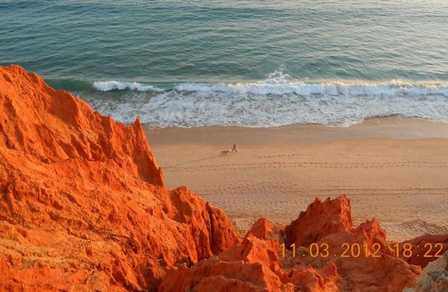 Cosy Apartment T1 on Falesia Beach Albufeira with swimming pool