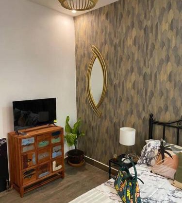 Cosy, bright studio apartment