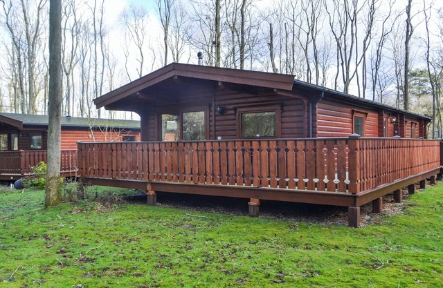 Cosy Lodge - UK37418