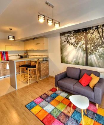 Cosy one bedroom apartment, close to Iulius Mall