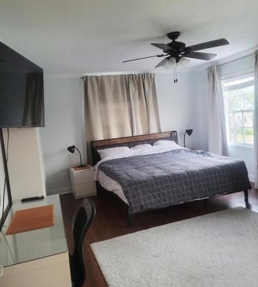 Cosy room and paradise garden