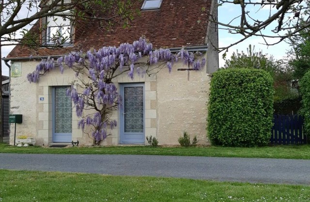 Cottage near Loire castles, pets allowed