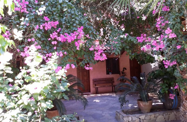 Cottage 'Olive Tree 4' with Sea View, Private Terrace and Wi-Fi