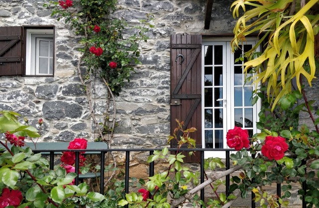 Cottage Sapateiro, a shelter in the nature!